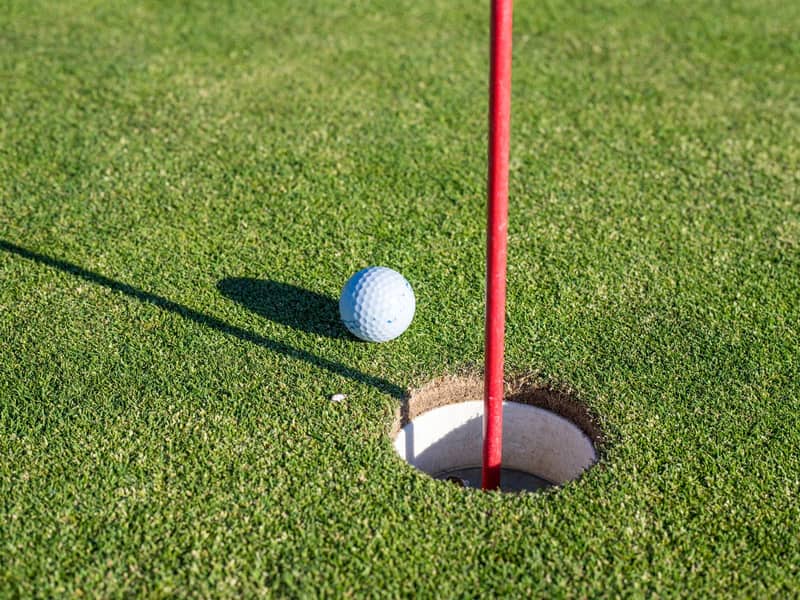 Artificial Grass for Putting Greens, UK Artificial Grass for Putting Greens for homes and businesses across the UK